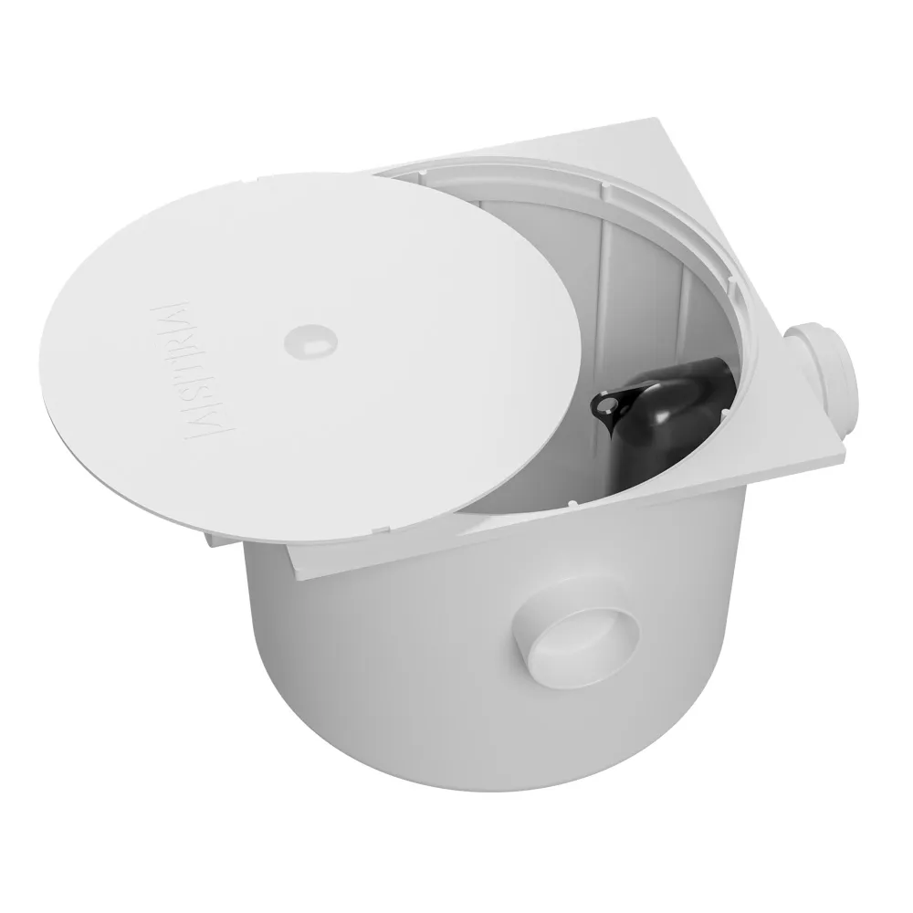 CG4V_1.webp