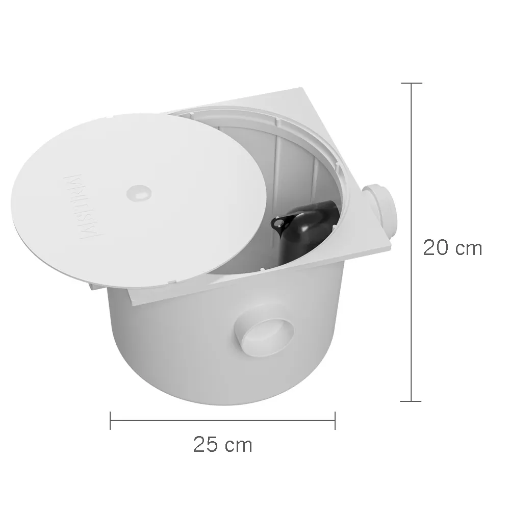 CG4V_2.webp